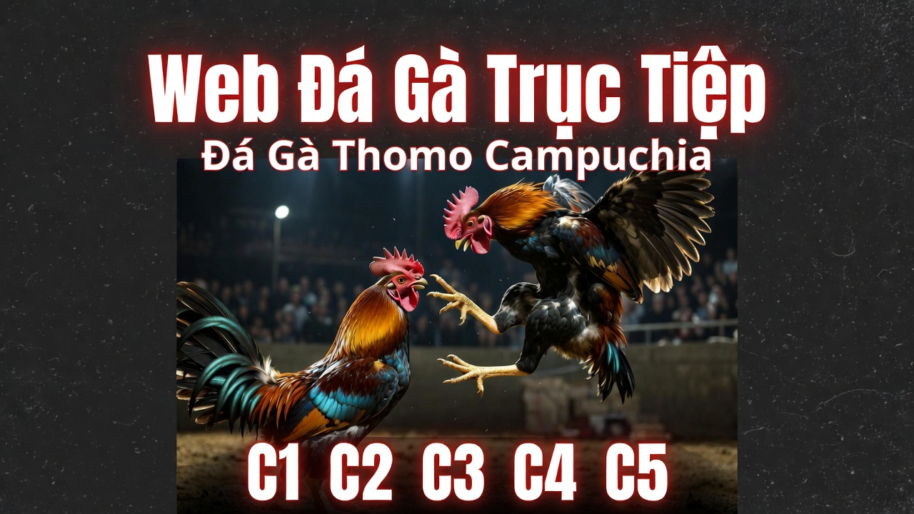 Xổ Số Điện Toán - Hiện Đại