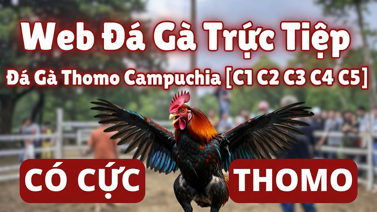 Xoso66 Giao Diện Dễ Sử Dụng