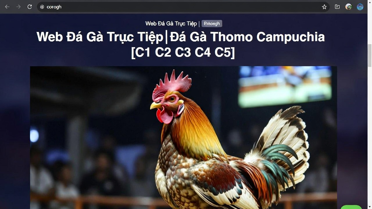 Xoso66 Hỗ Trợ 24/7