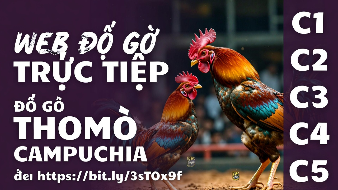 Xoso66 Khuyến Mãi Hấp Dẫn