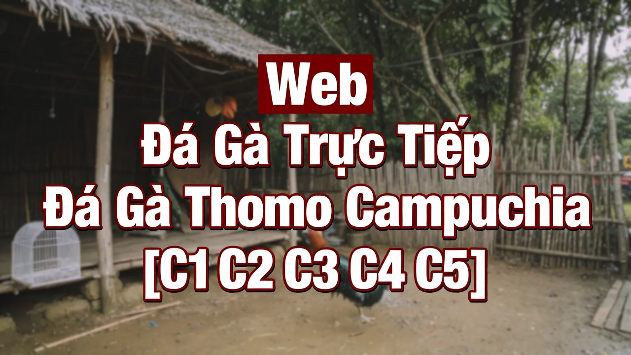 Xổ Số Trực Tuyến Xoso66