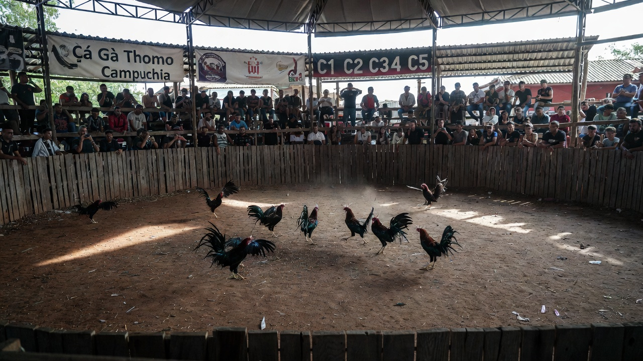 Xổ Số Miền Trung - Đa Dạng