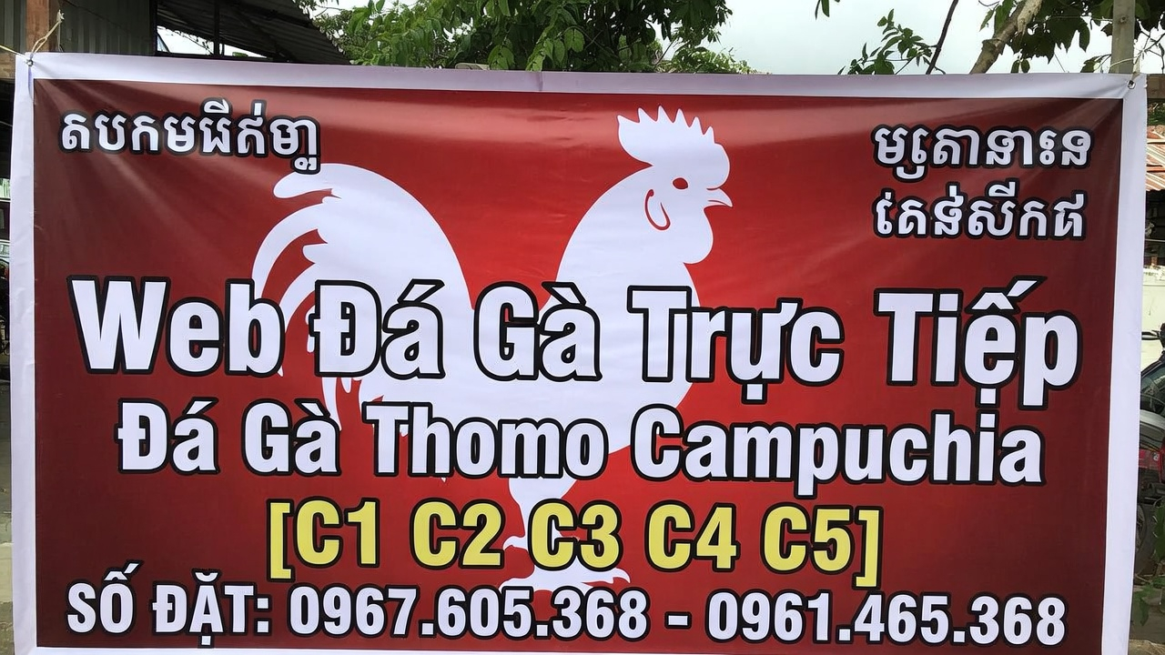 Xoso66 Tỷ Lệ Trả Thưởng Cao