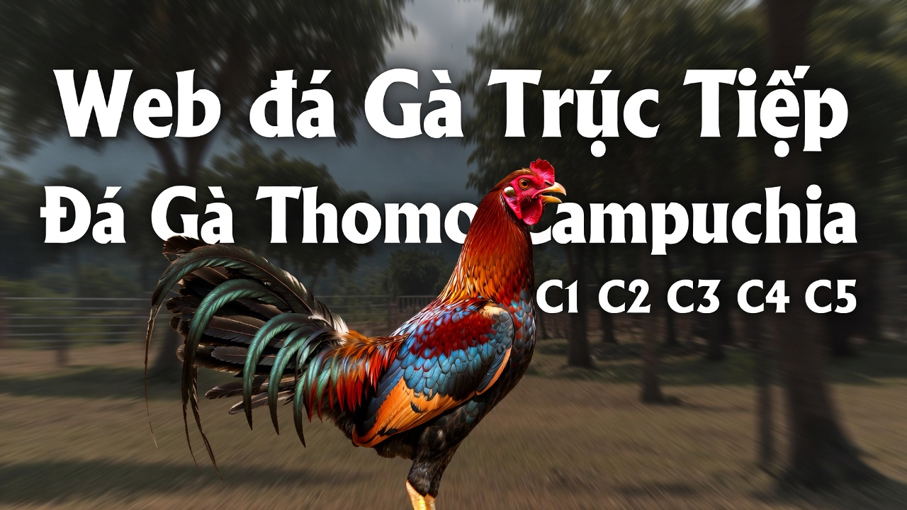 Xoso66 Uy Tín và An Toàn